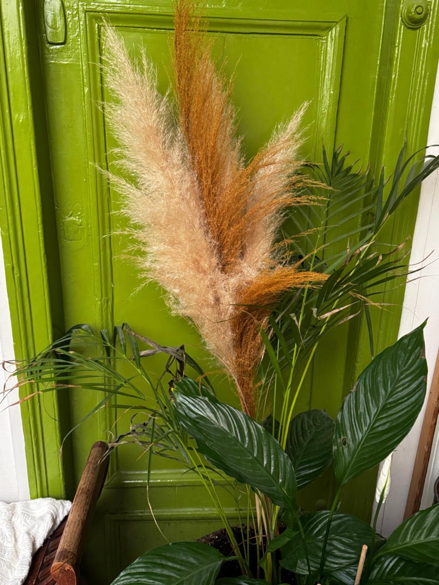 Most Charming Apartment Paris Center 外观 照片